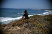 Enlarge photo 849