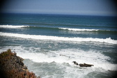 Enlarge photo 858