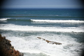Enlarge photo 859