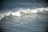 Enlarge photo 861