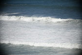 Enlarge photo 871