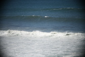 Enlarge photo 872