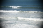 Enlarge photo 876