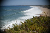 Enlarge photo 883