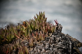Enlarge photo 895