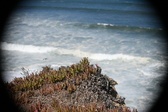 Enlarge photo 896