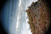 Enlarge photo 897