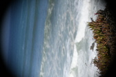 Enlarge photo 898