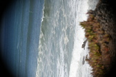 Enlarge photo 899