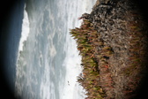 Enlarge photo 900