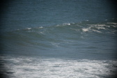 Enlarge photo 905