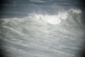 Enlarge photo 918