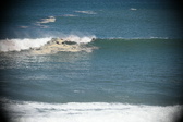 Enlarge photo 954