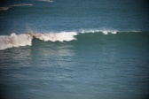 Enlarge photo 955