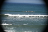 Enlarge photo 974