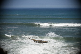 Enlarge photo 975