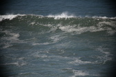 Enlarge photo 977