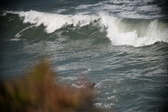 Enlarge photo 979