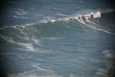 Enlarge photo 980