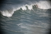 Enlarge photo 981