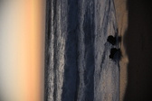 Enlarge photo 1035