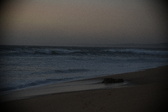 Enlarge photo 1040