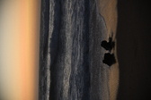 Enlarge photo 1041