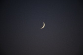 Enlarge photo 1145