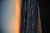 Enlarge photo 1271