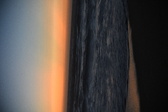 Enlarge photo 1272