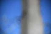 Enlarge photo 1328