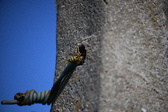 Enlarge photo 1329