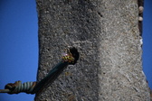 Enlarge photo 1331