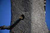 Enlarge photo 1332