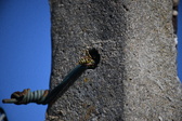 Enlarge photo 1333