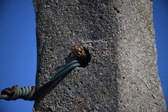 Enlarge photo 1337