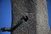 Enlarge photo 1339