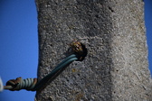 Enlarge photo 1341
