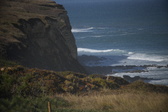 Enlarge photo 1347