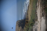 Enlarge photo 1356