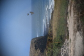 Enlarge photo 1359