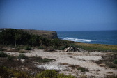 Enlarge photo 1370