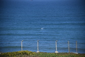Enlarge photo 1371