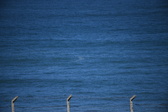 Enlarge photo 1372
