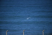 Enlarge photo 1373
