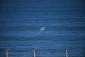 Enlarge photo 1374