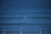 Enlarge photo 1378