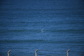 Enlarge photo 1379