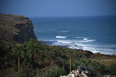 Enlarge photo 1381