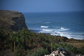 Enlarge photo 1382
